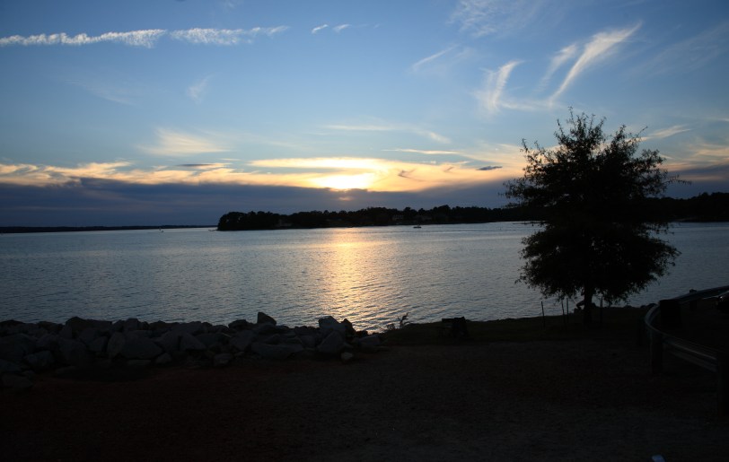 Lake Murray tree 10_06_4289