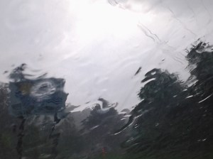 rainy windshield