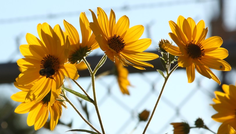 I love backlighting.