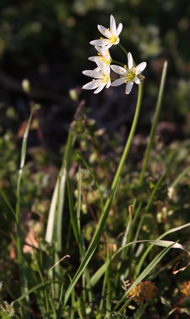 IMG_7496 another shot