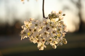 IMG_7723_2048_1365_cloudy