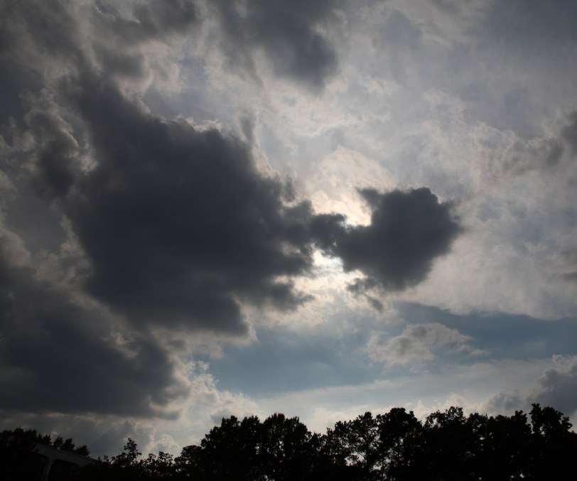 IMG_4354crop_pluspt17