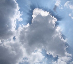 IMG_3316crop_coltemstand_minpt67