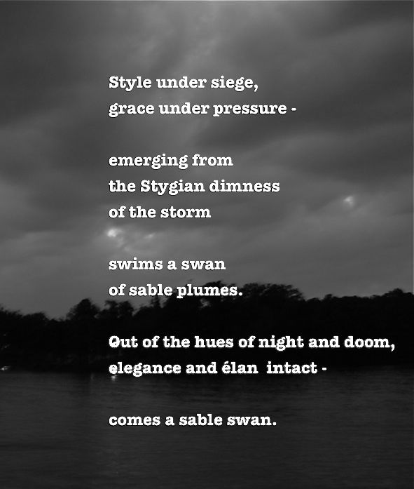 sable swan poem