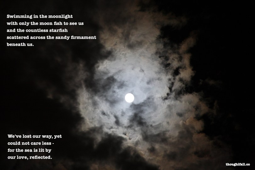 swimming in the moonlight